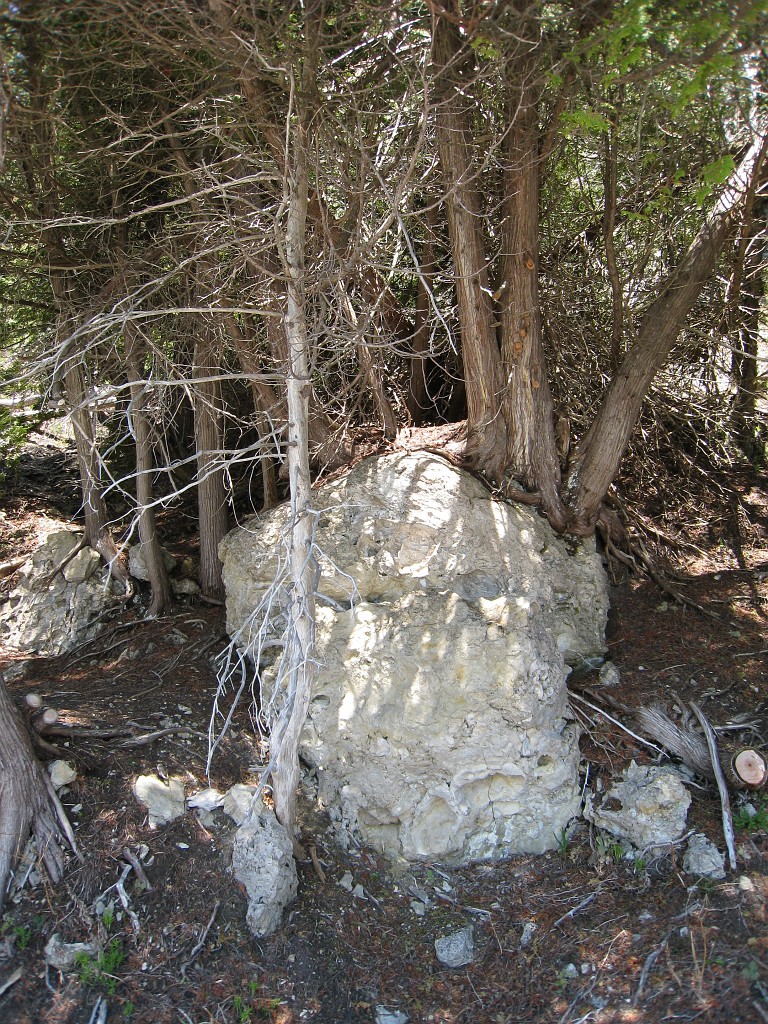 Mackinaw Island Area May 2008 0532.jpg - May 24 2008 a trip to Mackinac City for a 5 M race and a visit to Mackinac Island. A day to the UP, Paradise, Whitefish Point and Tahquamen Falls. This was followed by trips to Petoskey and Charlevoix.